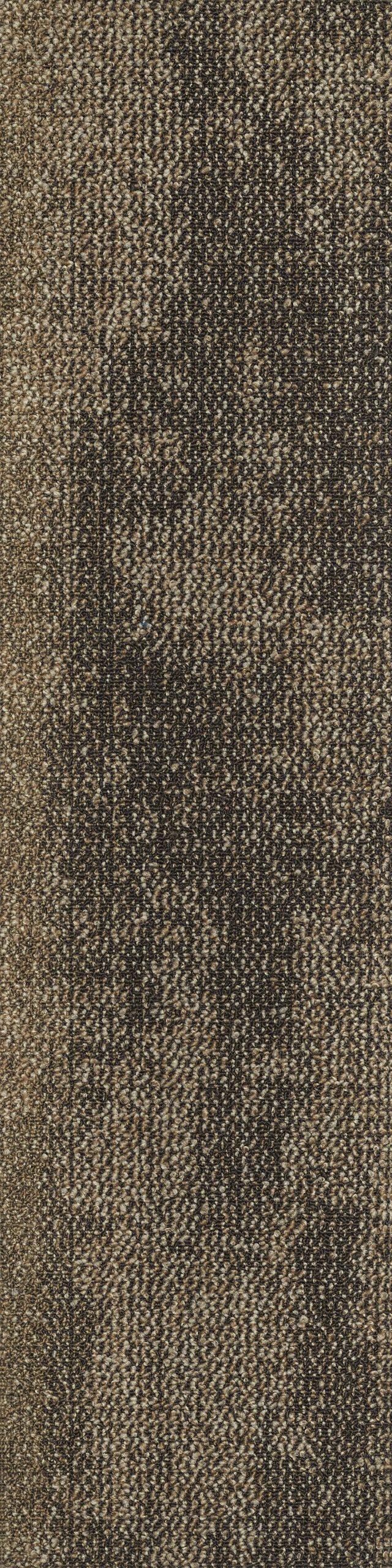 Saxony 01 karo Halı - Görsel 2