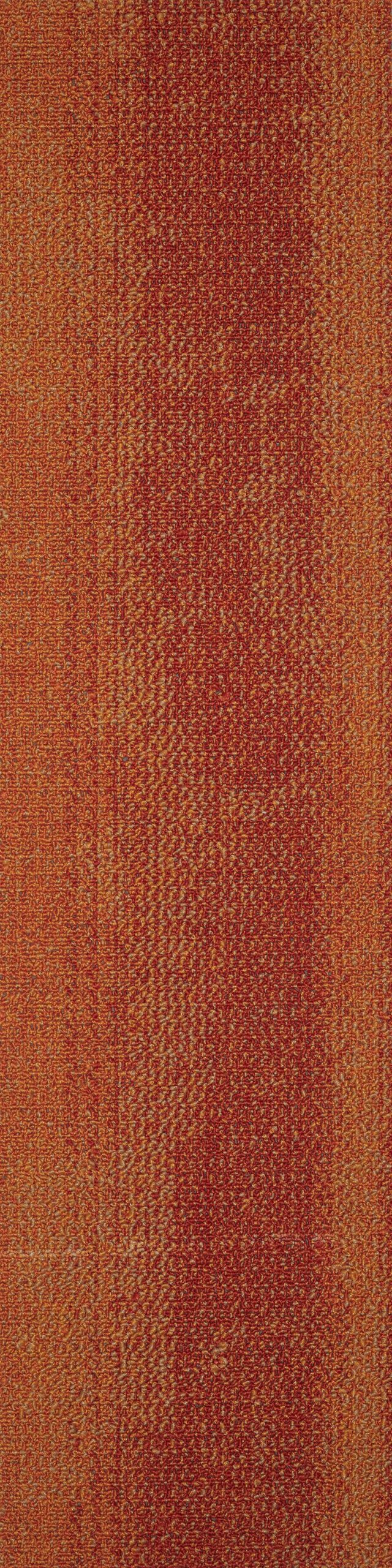 Saxony 06 karo Halı - Görsel 4