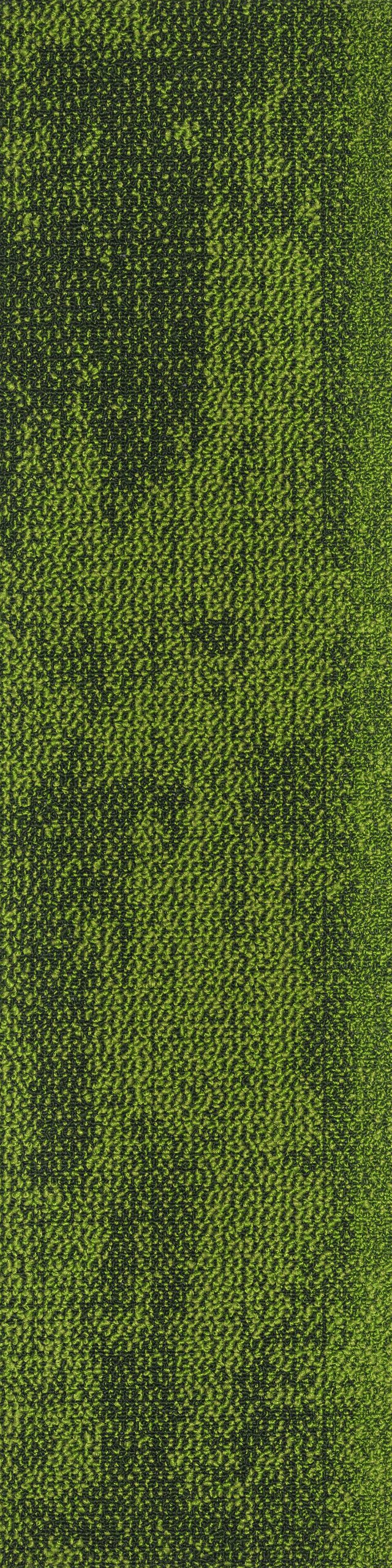 Saxony 07 karo Halı - Görsel 2