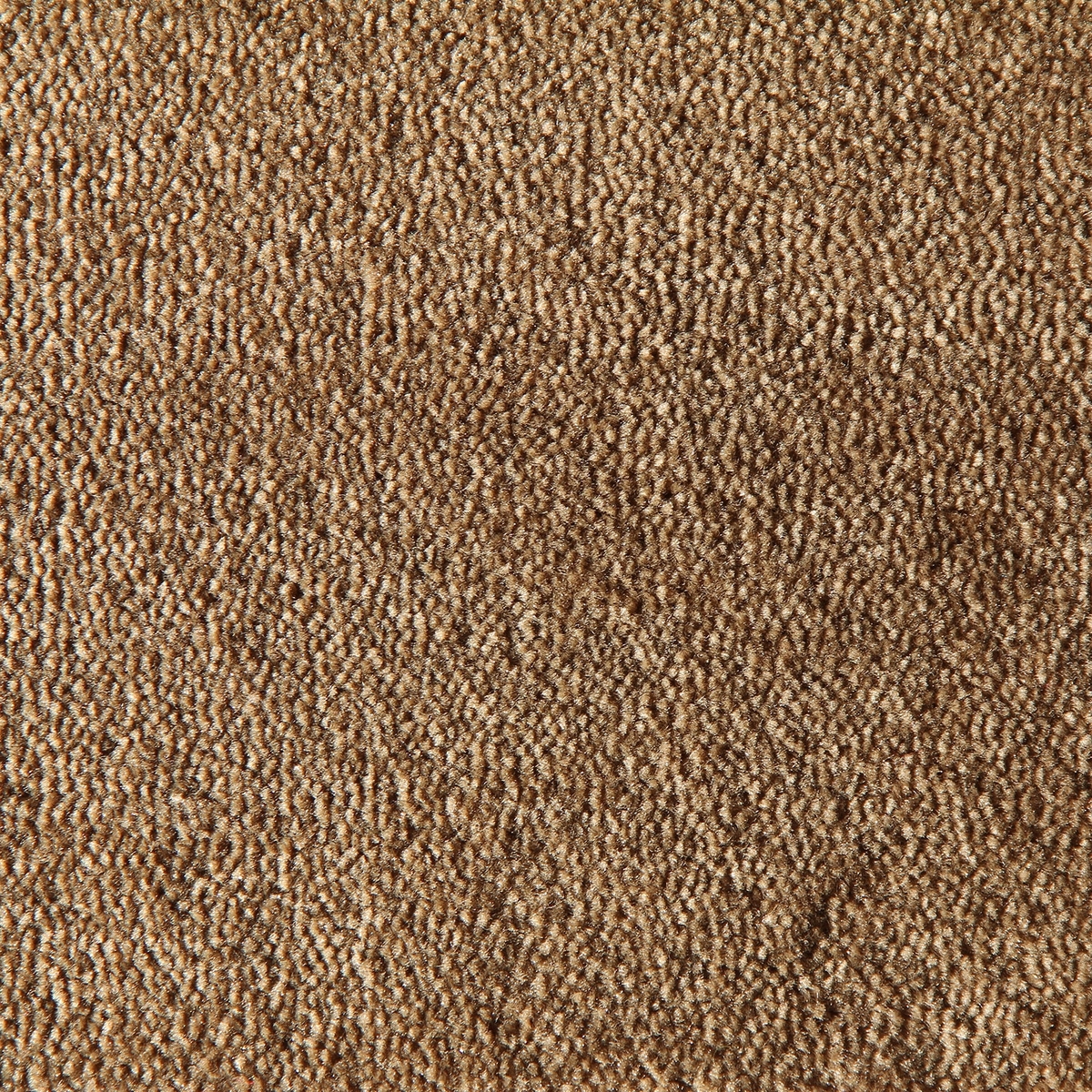 Tufting Duvardan Duvara Halı - Raha Koyu Bej 20mm