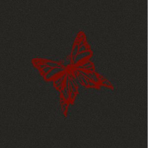 Dinarsu Marine Yat Tekne Halısı 080601001